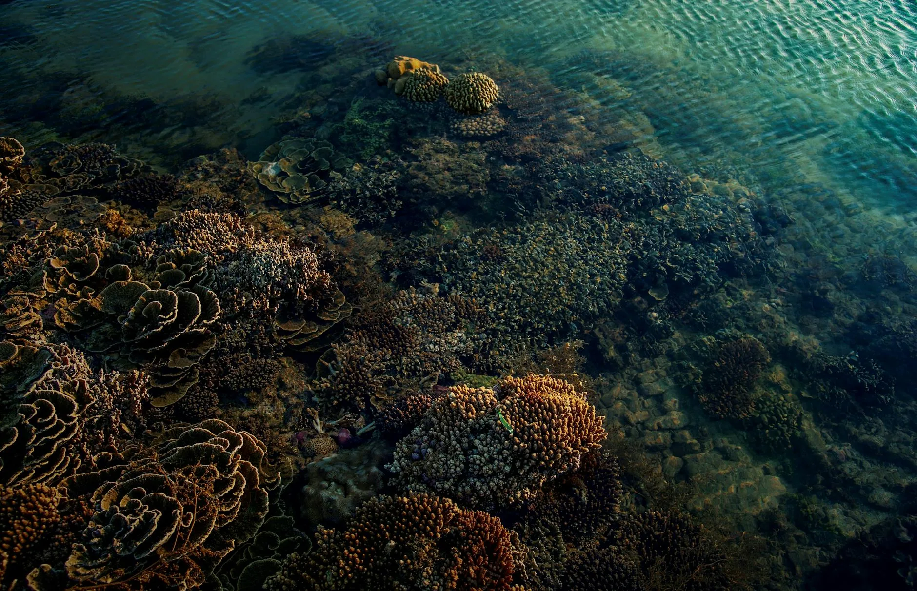 Plages et activités nautiques