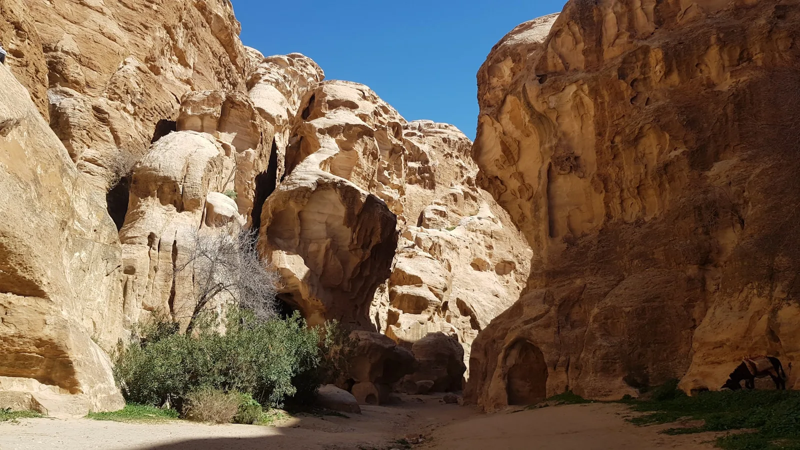 Le Siq : l'antichambre magique